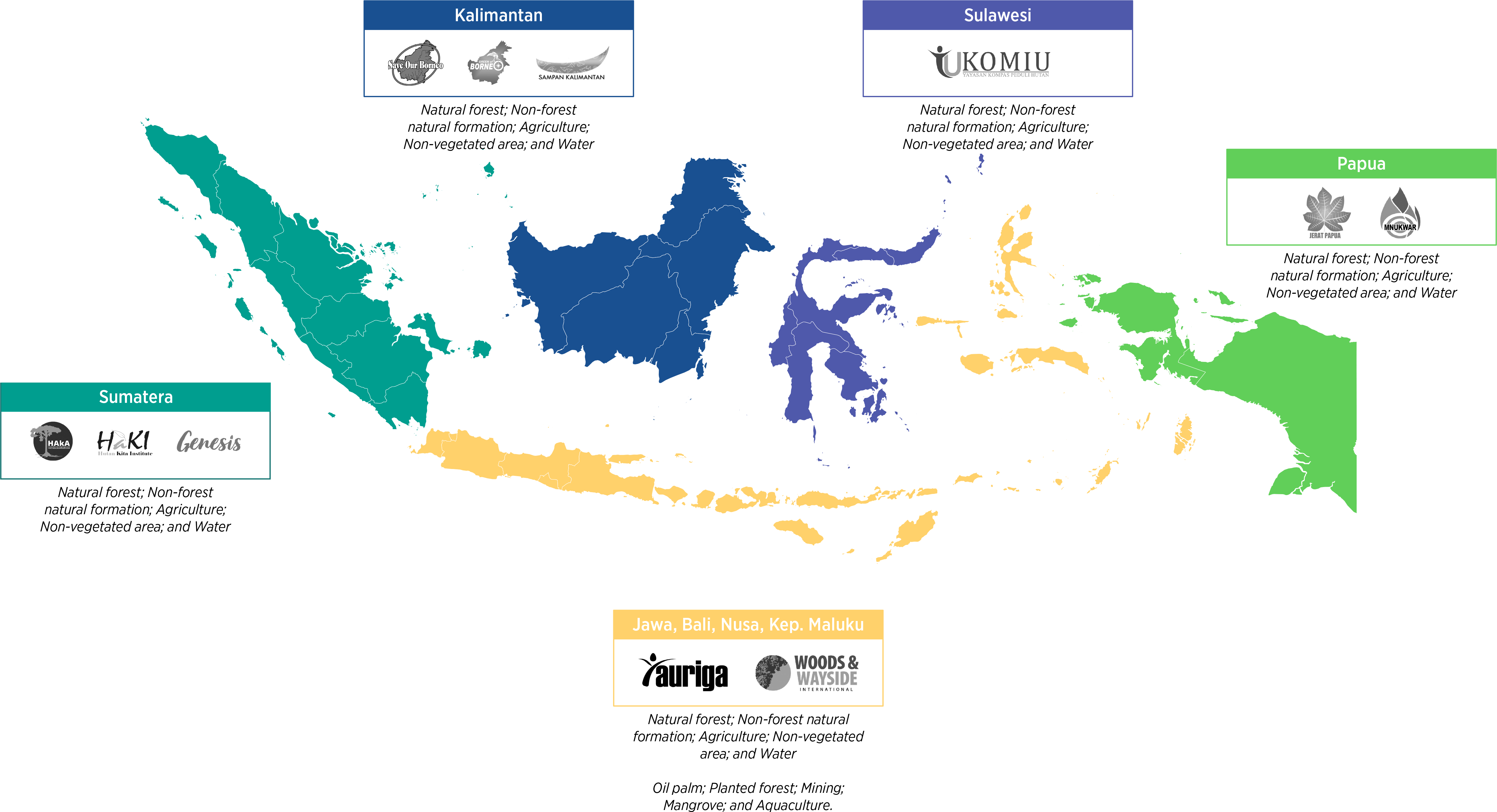 mapbiomas indonesia network