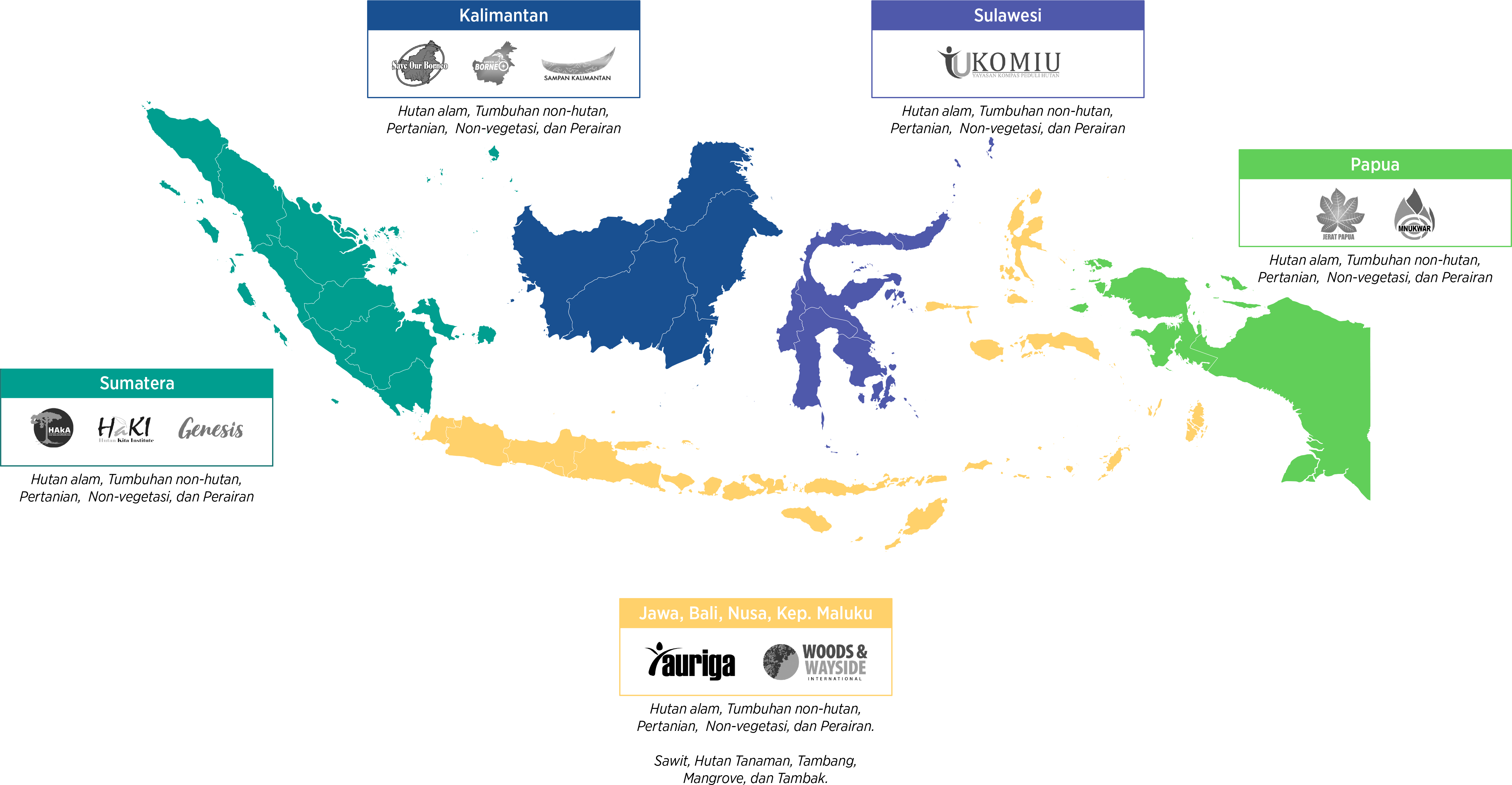 mapbiomas indonesia network