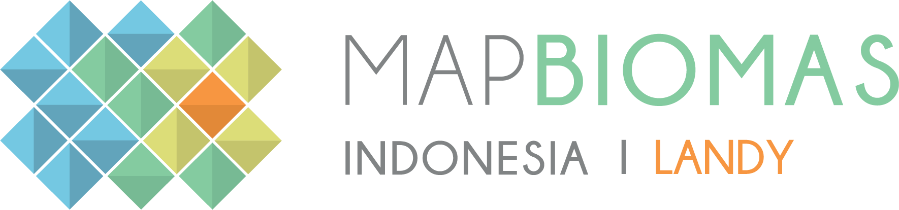 Mapbiomas Fire Indonesia
