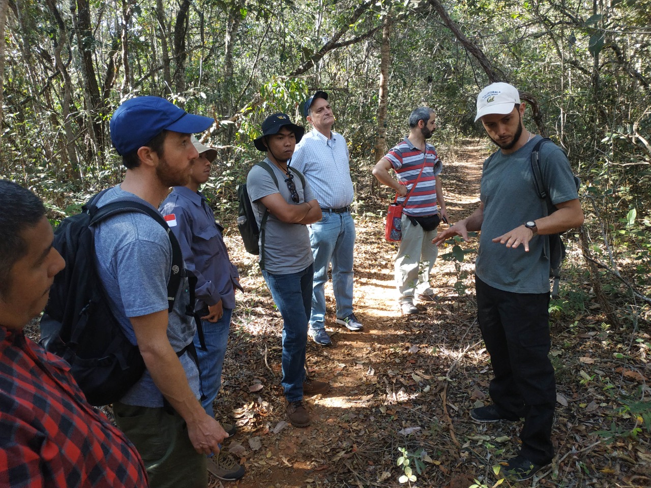 Learning from MapBiomas Brasil